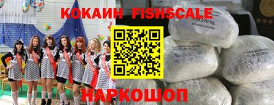 гидра Новозыбков