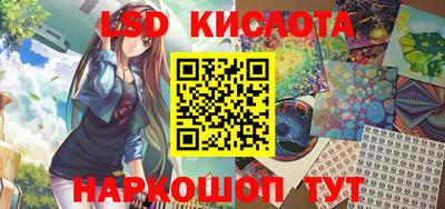 гидра Новозыбков