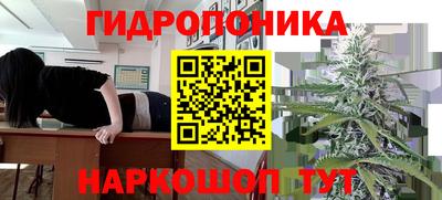 mdma Новодвинск