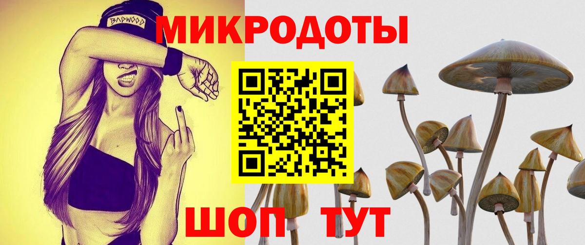 Галлюциногенные грибы Psilocybine cubensis  Вход с VPN  Советск  Галлюциногенные грибы Psilocybine cubensis 