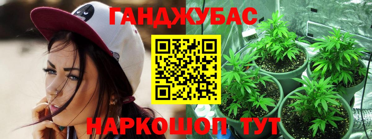 Конопля Ganja  МАРИХУАНА семена  Конопля OG Kush  Советск  Вход с VPN 