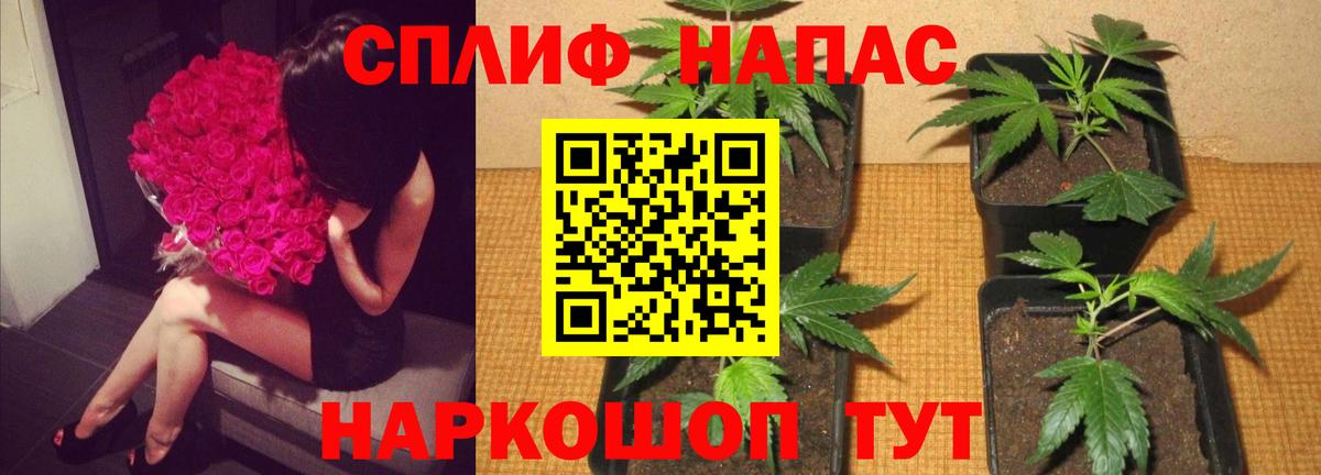 Меф Советск